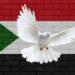 اطلاق مبادرة لسلام السودان من مؤسسات “عنان وأمينة لايف والمركز المغاربي”